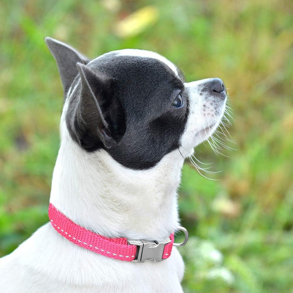Adjustable Nylon Reflective Small Dog Collar with Metal Buckle - Available in Black, Pink, Mint Green, Lime, Orange, Red, Purple, and Blue (Neck Size 7"-11", Lime Green)